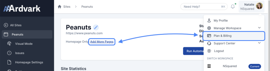 Highlighting the Add More Pages link on the Site Dashboard along with the opened User Menu where the Plan & Billing list item link.