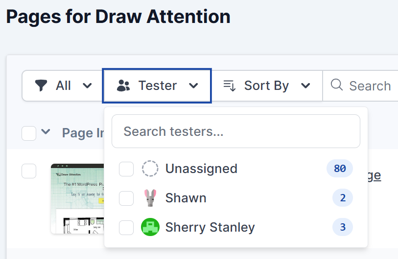 Available Tester Selection Options for Pages