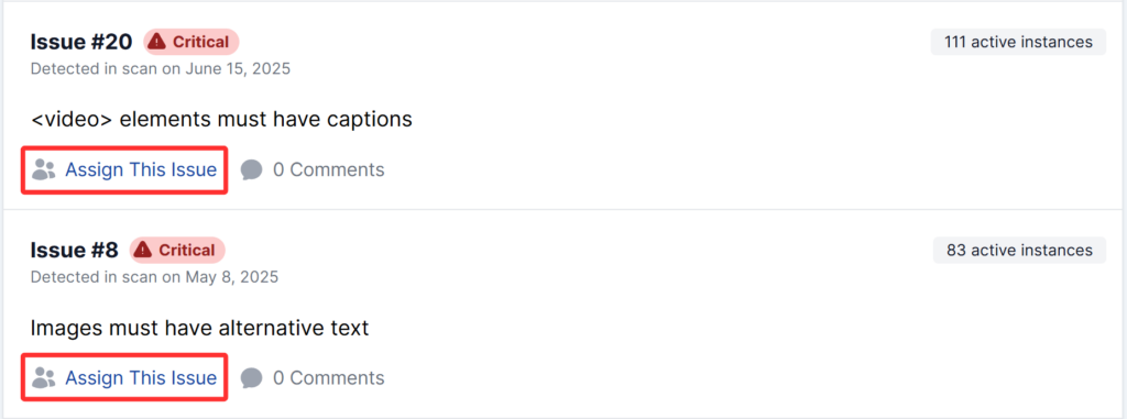 Issue reports displayed the option to assign issues