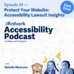 AAArdvark Accessibility Podcast AAArdvark Accessibility Podcast