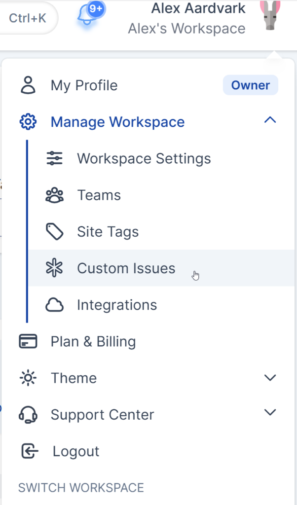 Custom Issue option to review custom issues
