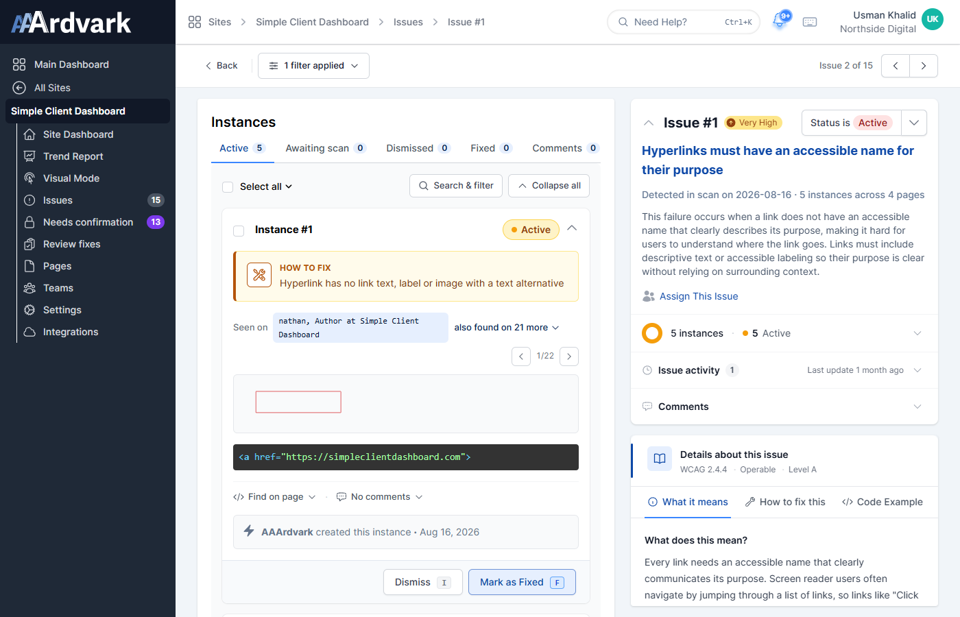 Issue detail page in the current two-column layout: instances on the left, issue context and documentation tabs on the right.