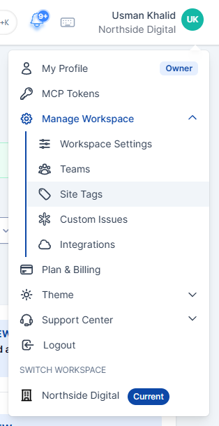 Profile menu with Manage Workspace expanded and Site Tags highlighted, between Teams and Custom Issues.
