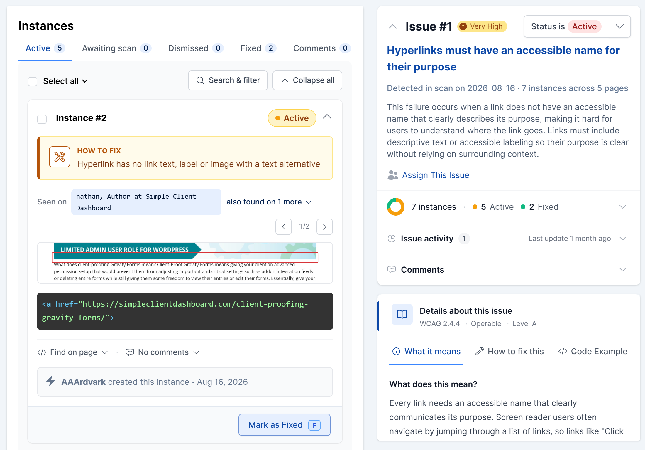 Issue detail page with the Instances list and status tabs on the left, and the issue title, severity, status dropdown, Assign This Issue button, and What it means, How to fix this, and Code Example tabs on the right.